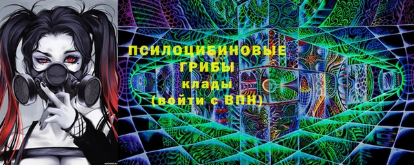 гашик Баксан