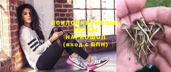 прущая мука Балахна