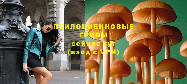 гашик Баксан