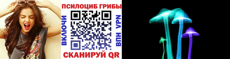 Псилоцибиновые грибы Cubensis Суворов